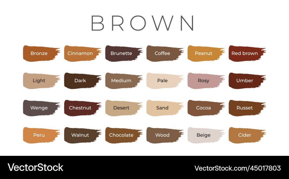 Brown paint color swatches with shade names vector image