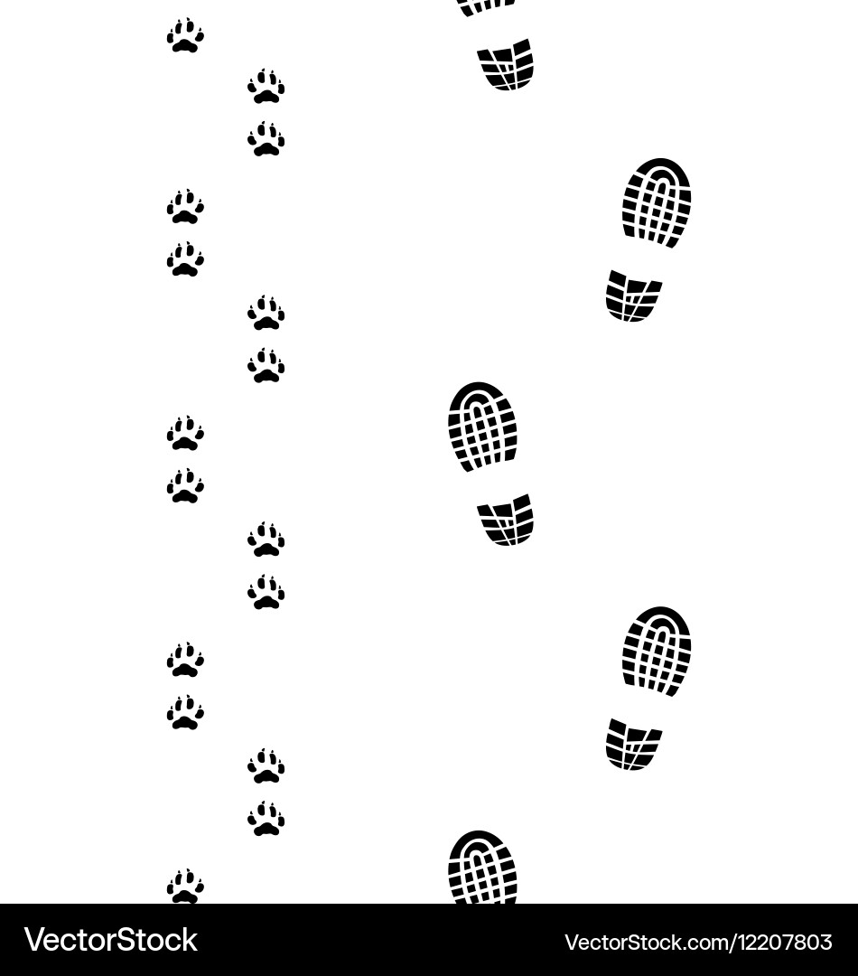 Human feet and dog paws Vector Image