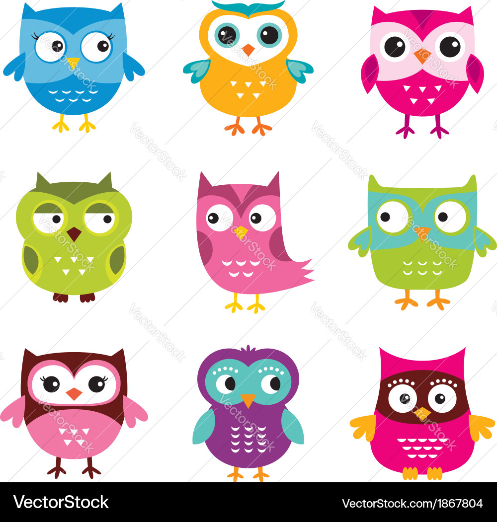Adorable Owl Set Vector Image