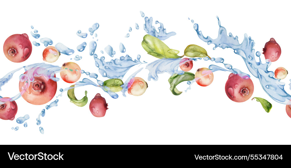 Cranberry lingonberry flying in water splash Cranberry lingonberry flying in water splash vector image