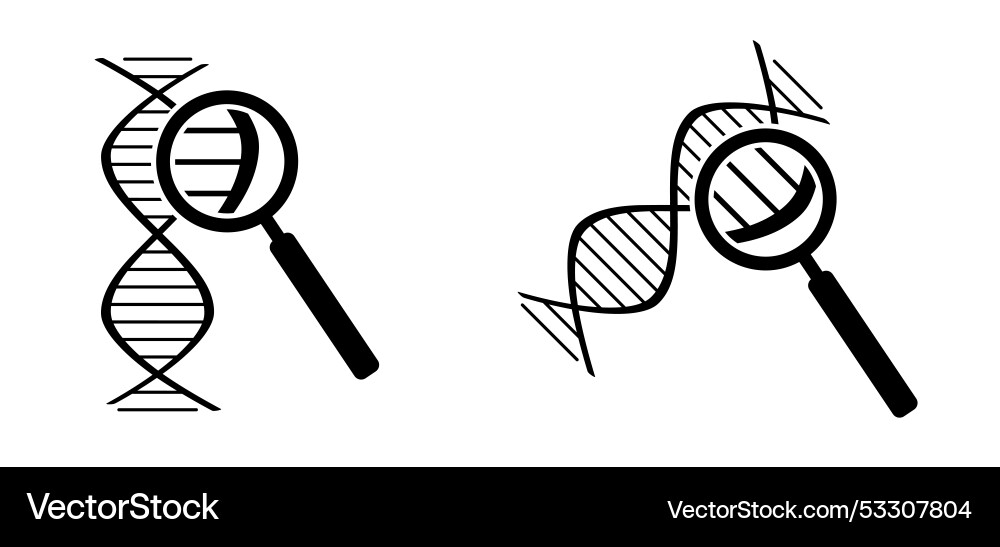 Dna with magnifying glass string double helix Dna with magnifying glass string double helix Vector Image