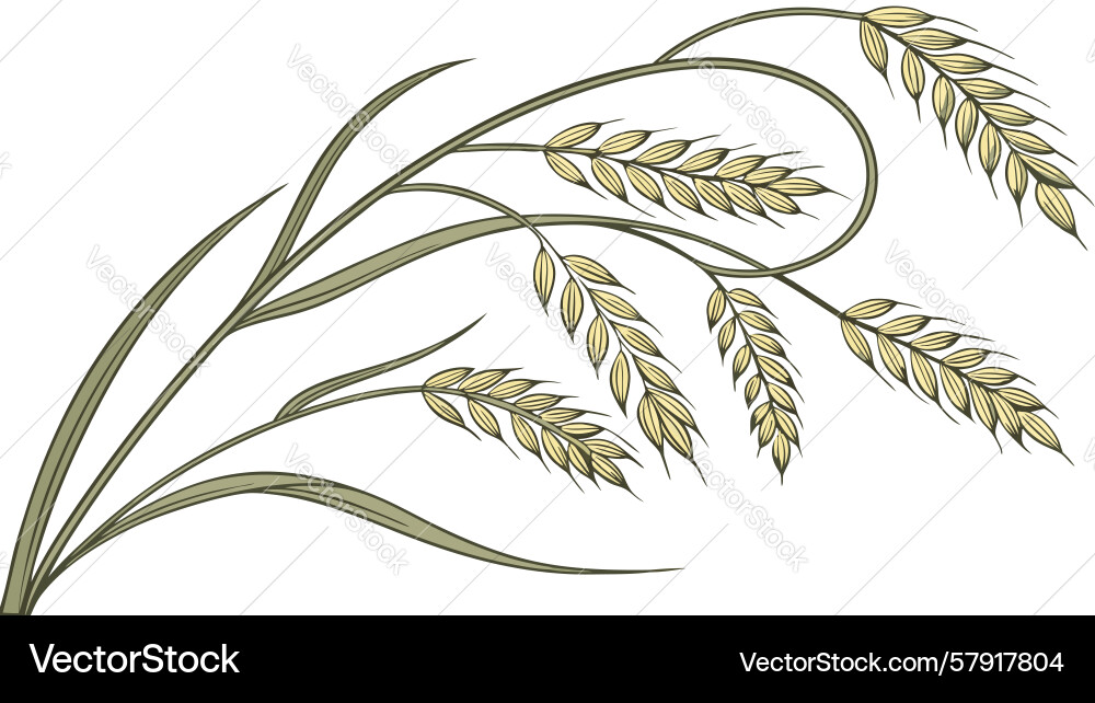 Golden wheat sheaves border design generative ai Vector Image