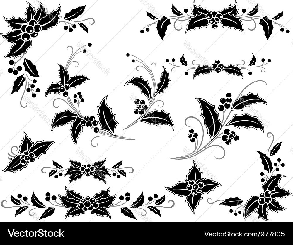 Black and White Holly Branches vector image