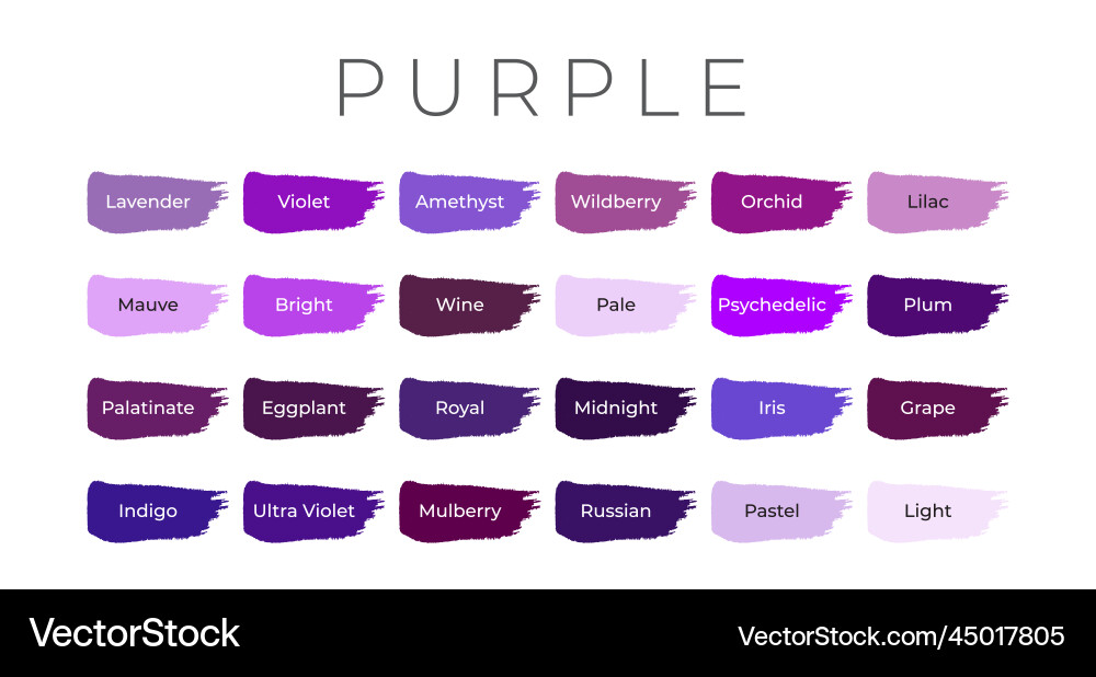 Purple paint color swatches with shade names Vector Image