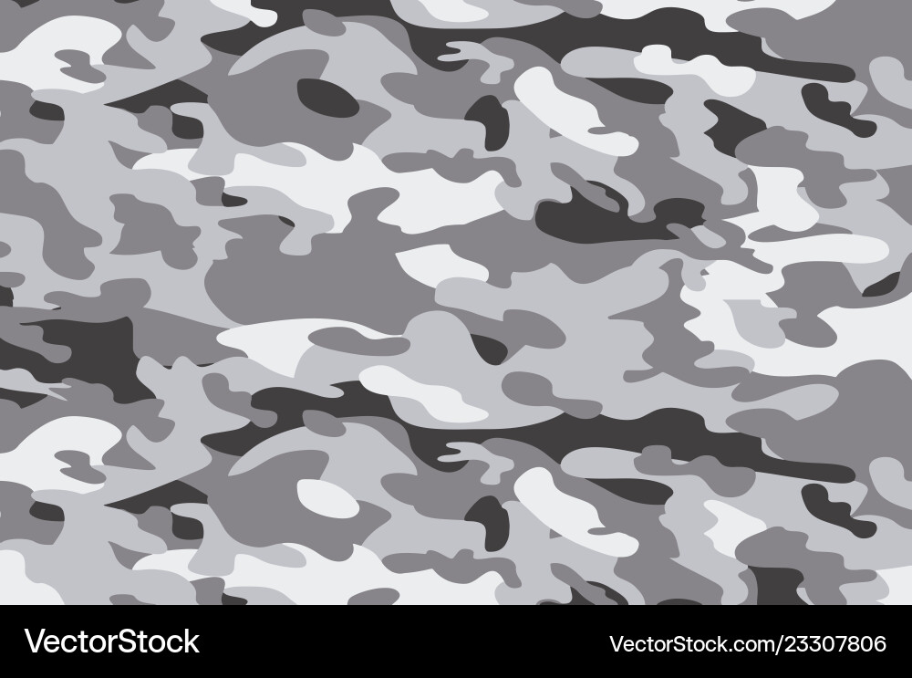 Abstract Camouflage Pattern vector image