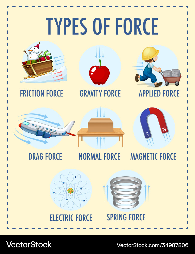 Types force for children physics educational vector image