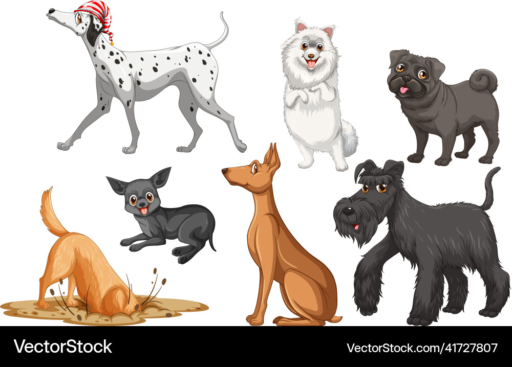 Set of different cute dogs in cartoon style vector image