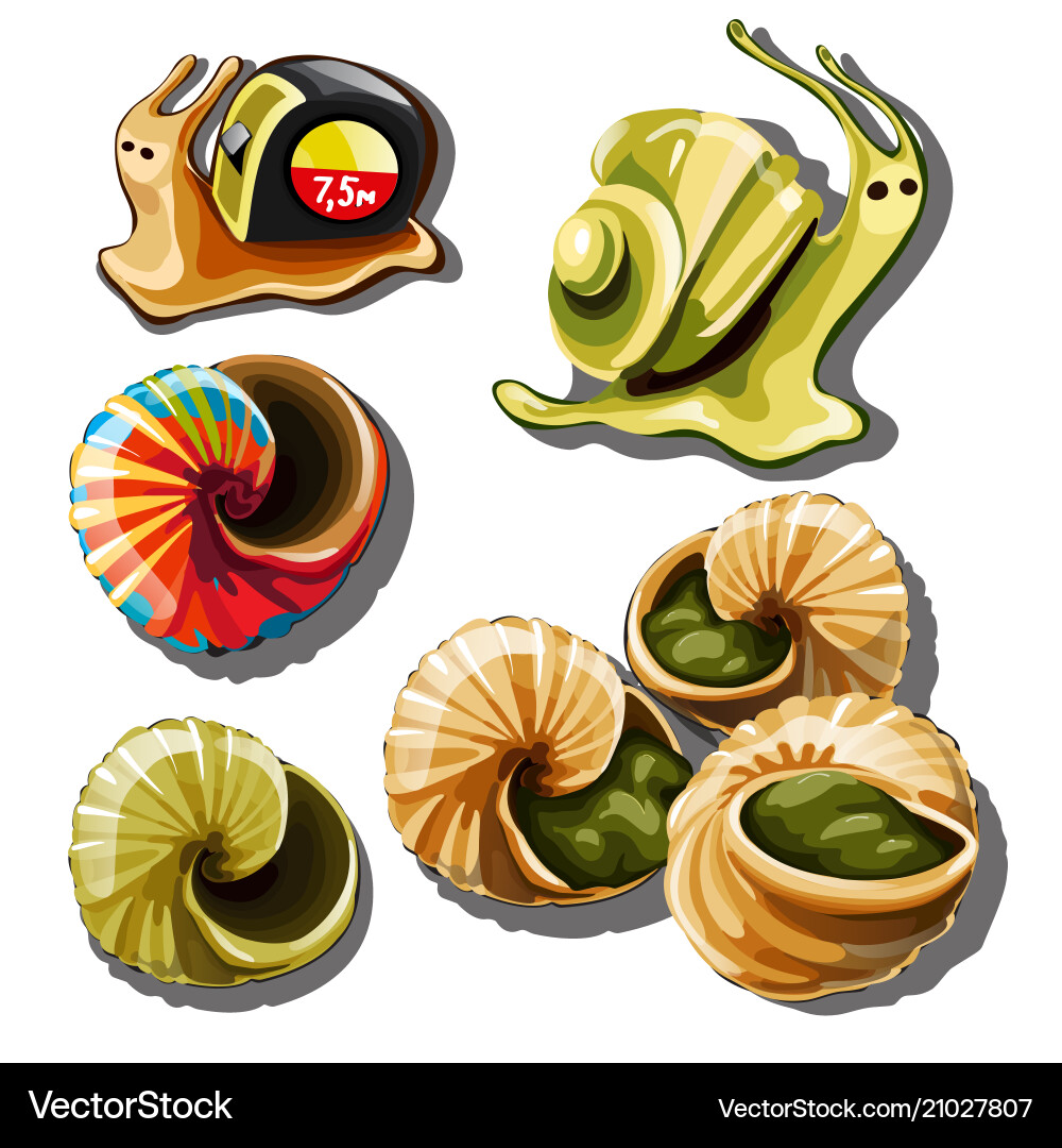 Set of objects on the subject snails Set of objects on the subject snails vector image