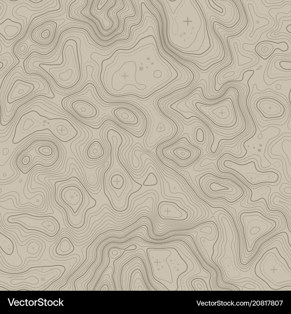 Topographic Map Seamless Pattern vector image