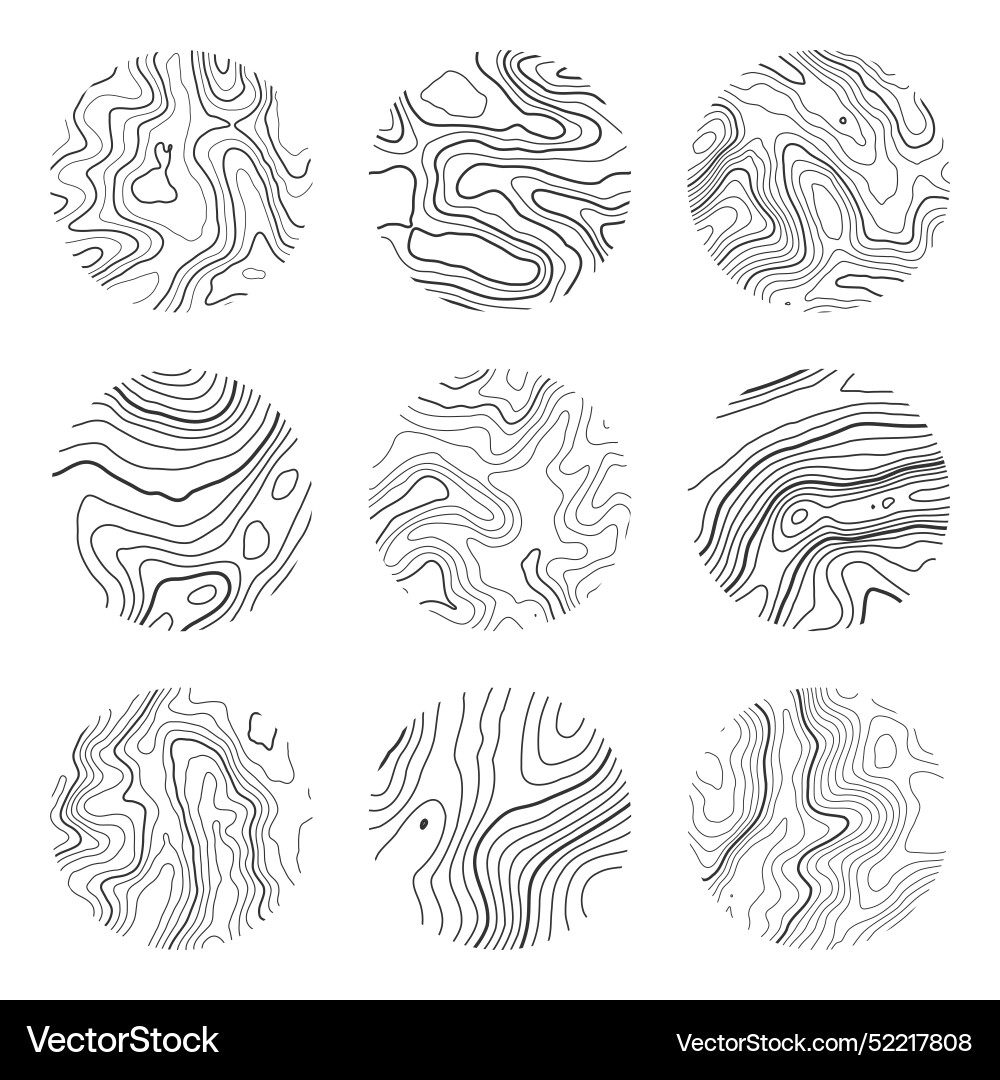 Topographic map with contour lines geographic Vector Image