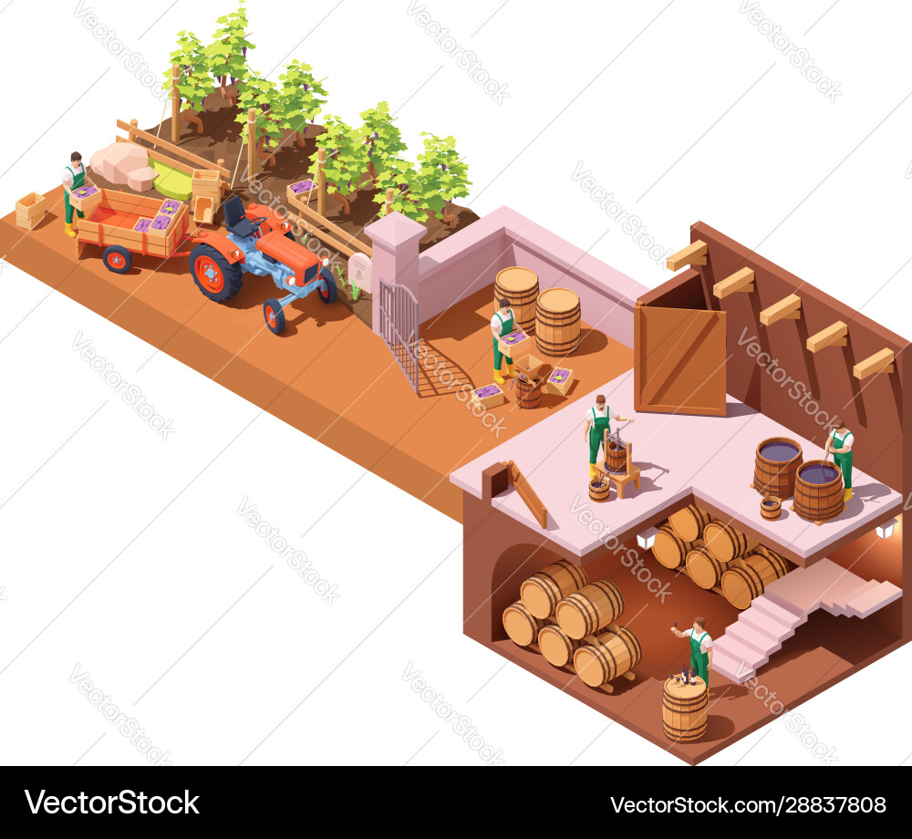 Winery Production Process Isometric Royalty Free Vector