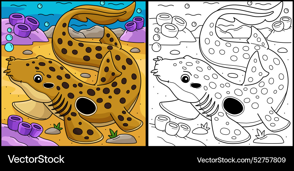Epaulette shark coloring page colored Royalty Free Vector