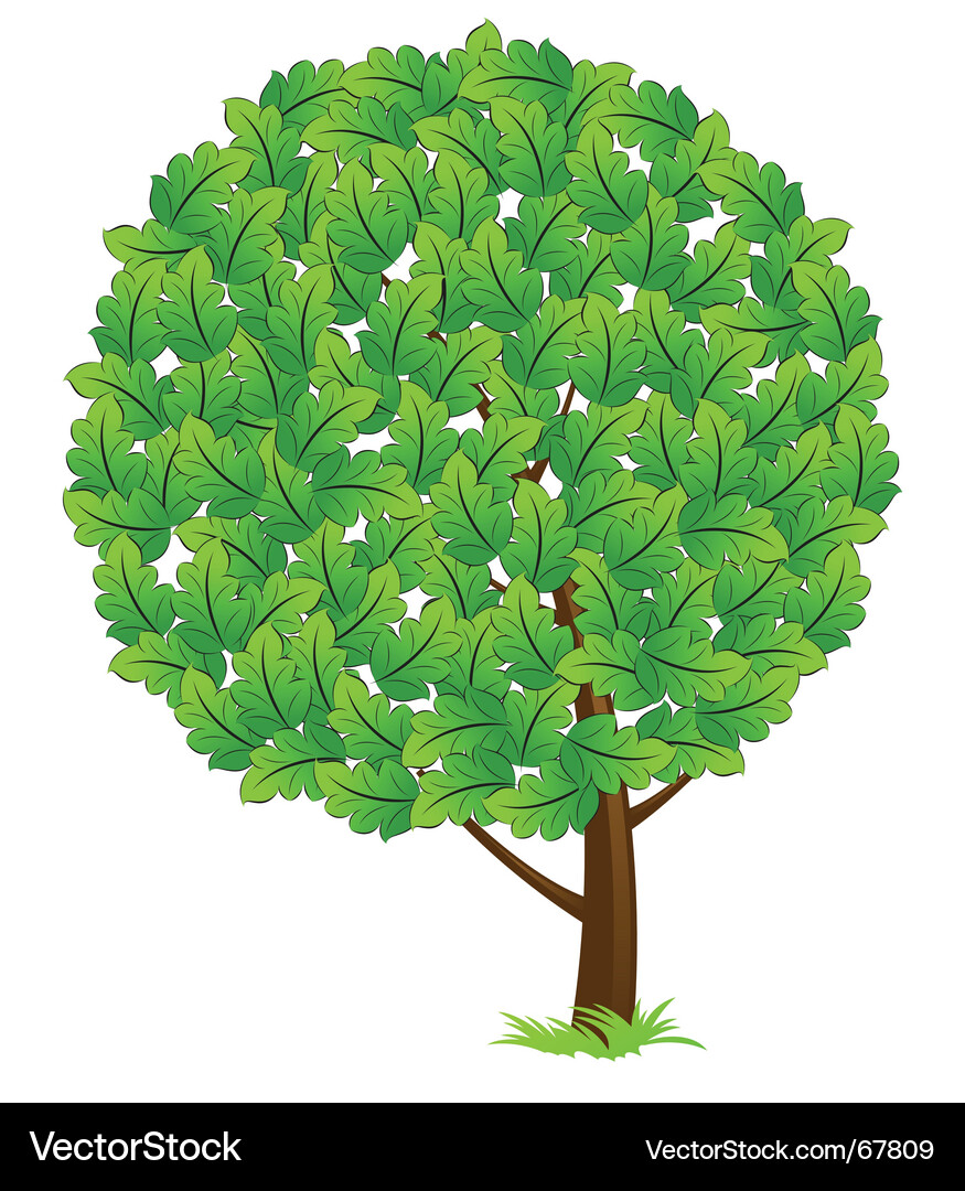 Tree icon Vector Image