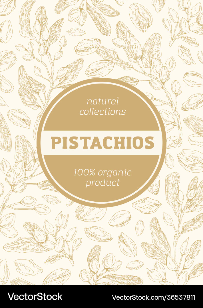 Pistachio Branch Pattern Background vector image