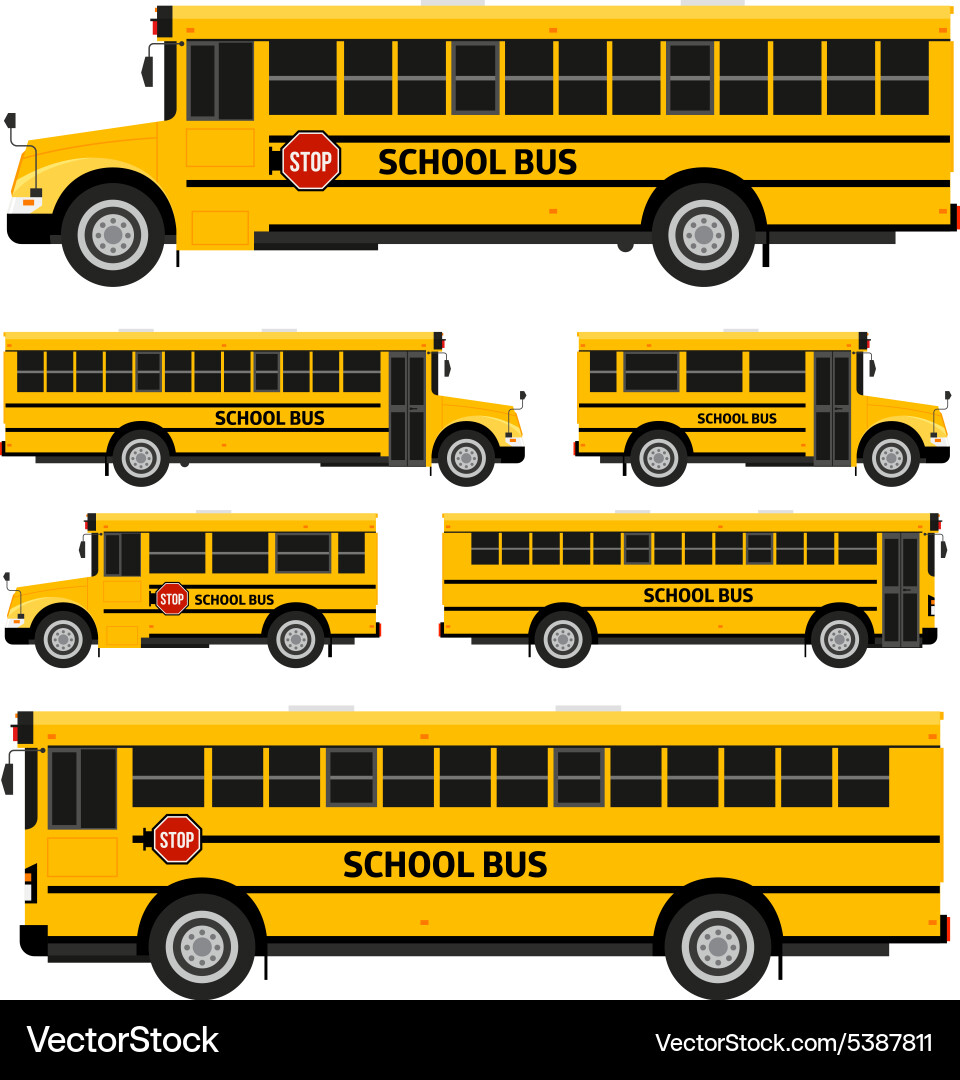 Bus Two Point View School Buses - Two View – Royalty-Free Vector | VectorStock