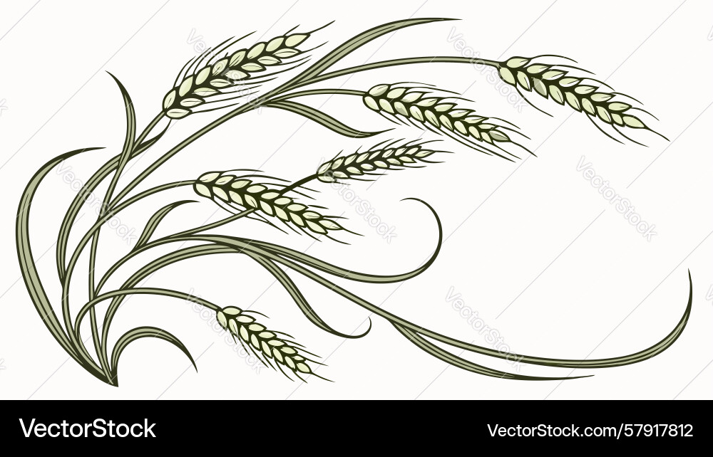 Golden wheat border design generative ai Vector Image