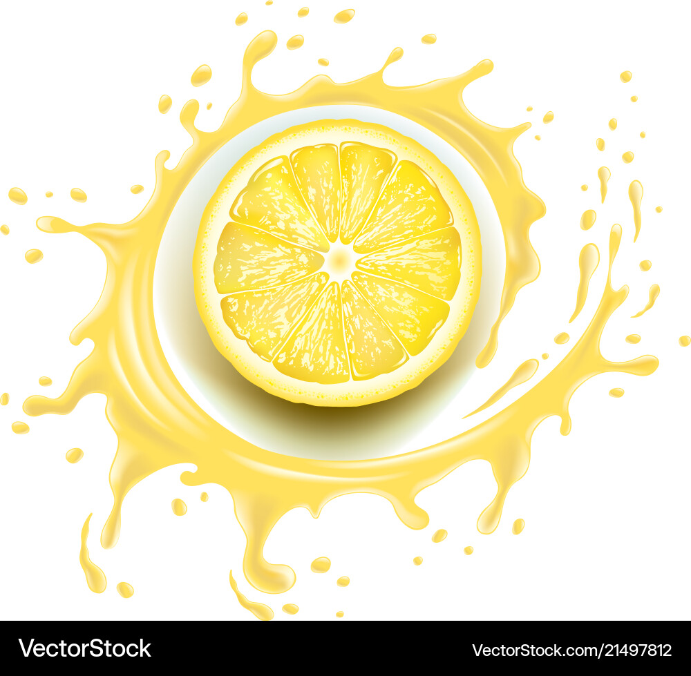 Lemon Slice with Juice Splash vector image