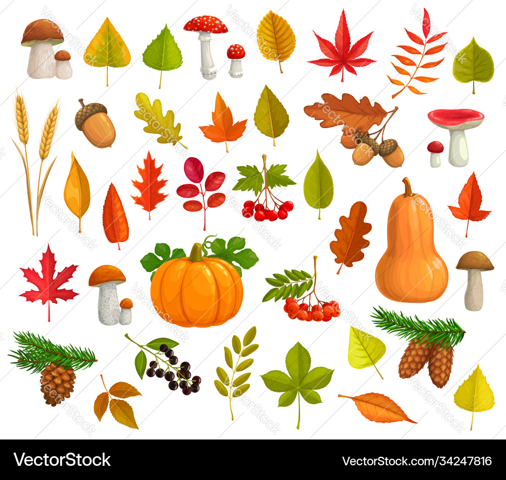 Autumn icons cartoon leaves pumpkin set Autumn icons cartoon leaves pumpkin set vector image