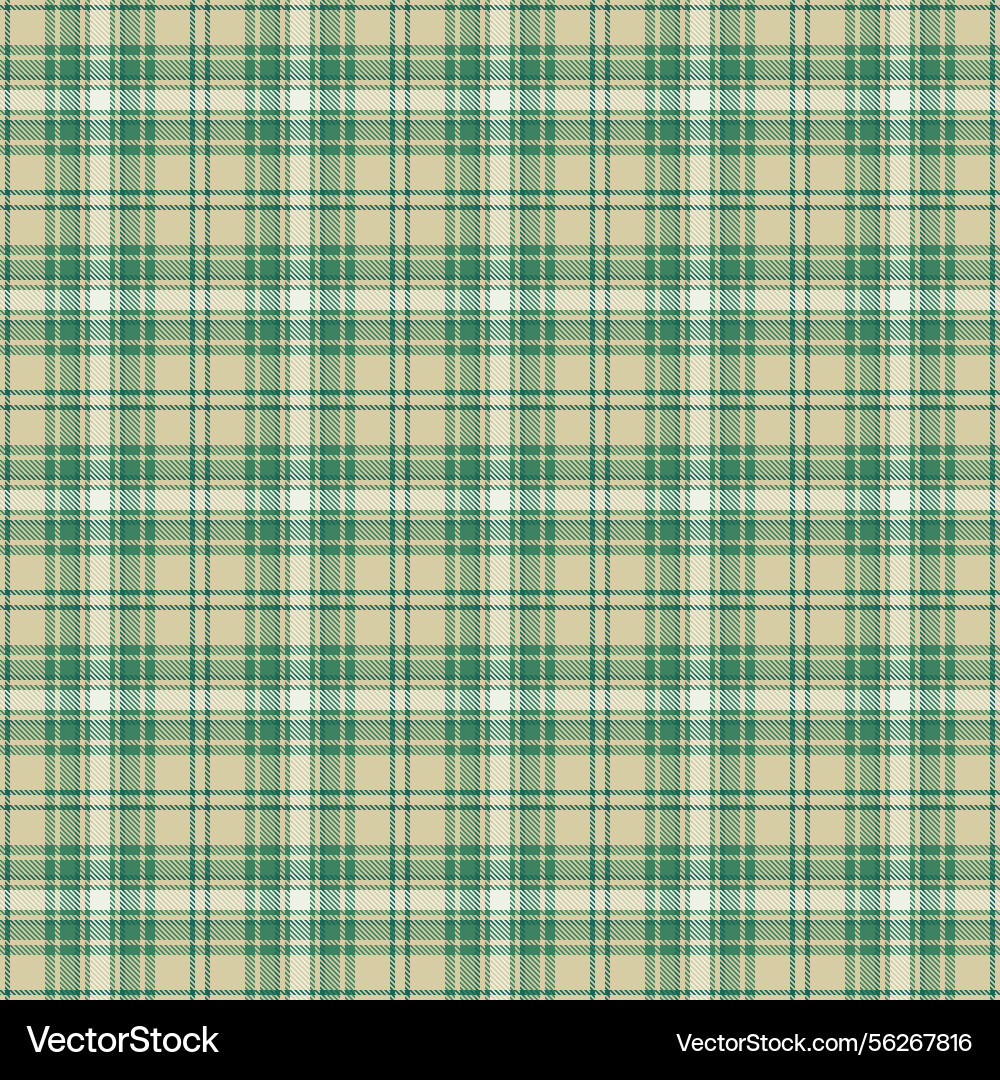 Customized check pattern string tartan background vector image