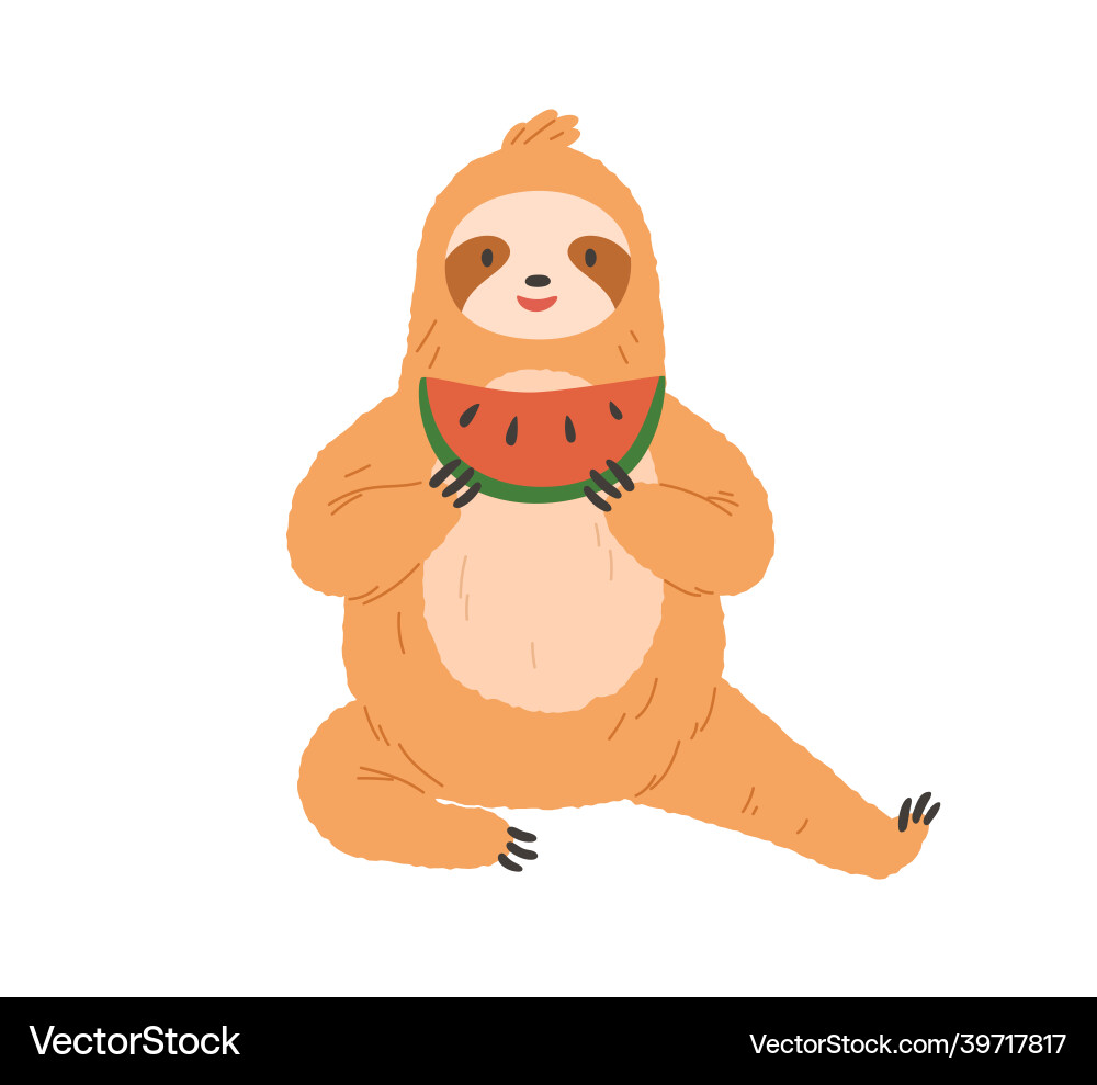 Cute sloth eating watermelon happy funny animal Cute sloth eating watermelon happy funny animal vector image