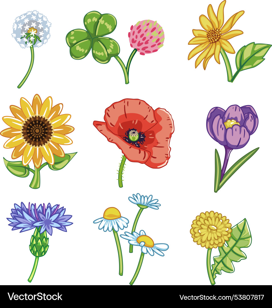 Set of cartoon style wild flowers Set of cartoon style wild flowers vector image