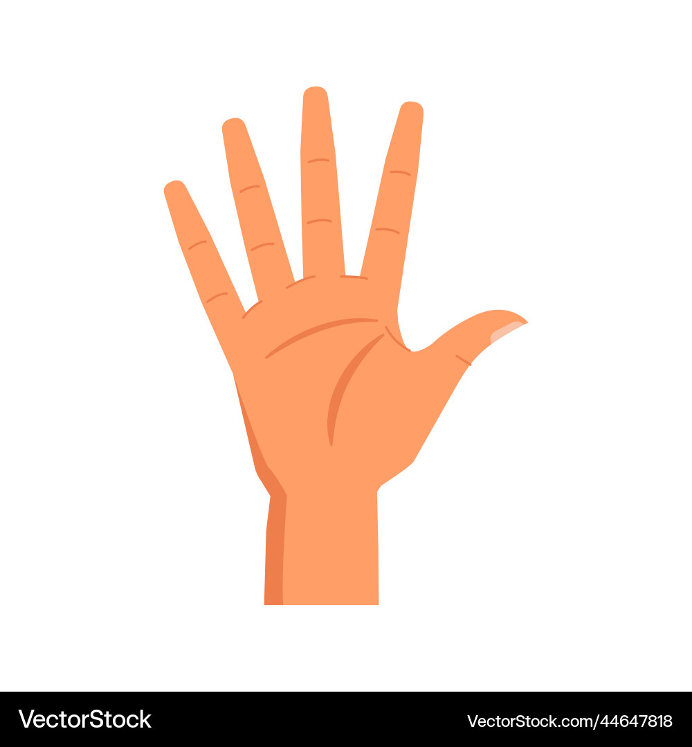 Hand gesture showing number five numeration Hand gesture showing number five numeration vector image