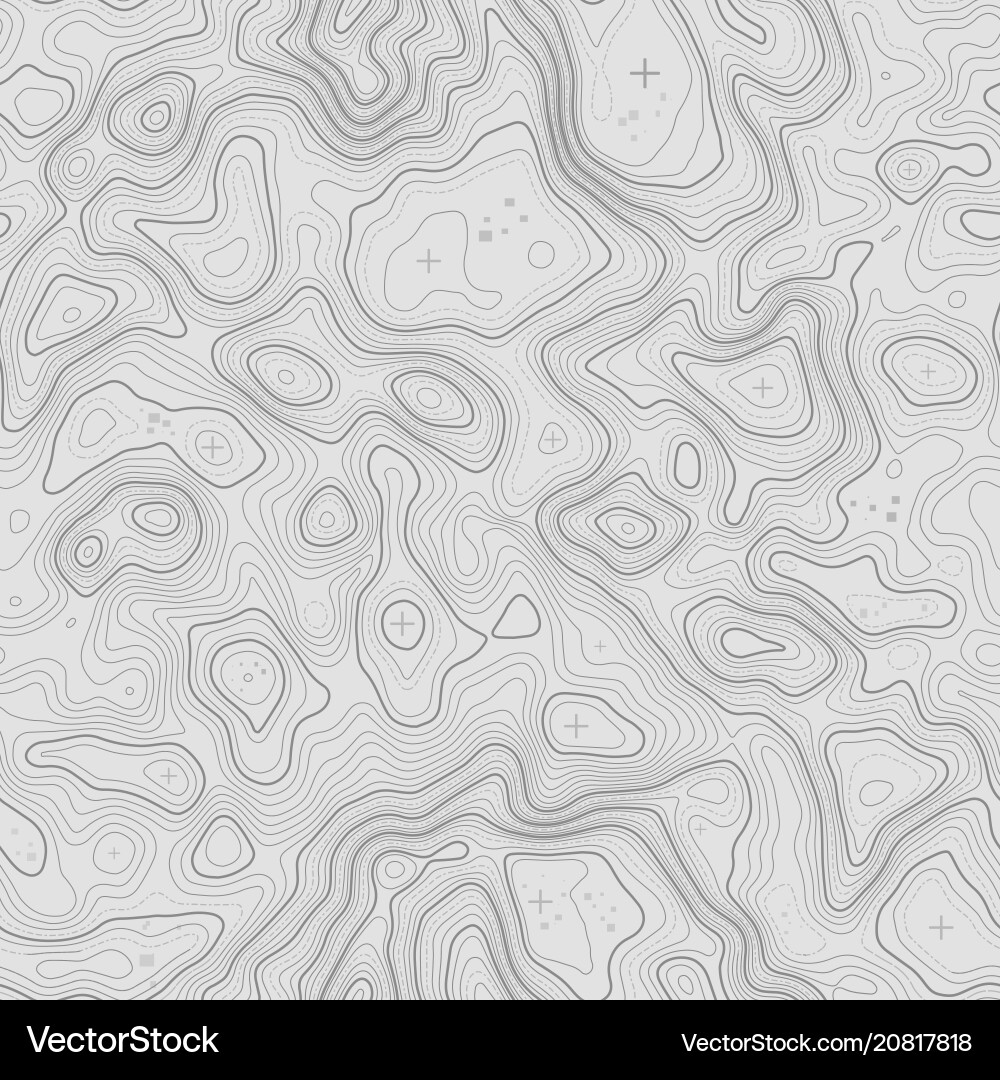 Topographic Map Seamless Pattern vector image