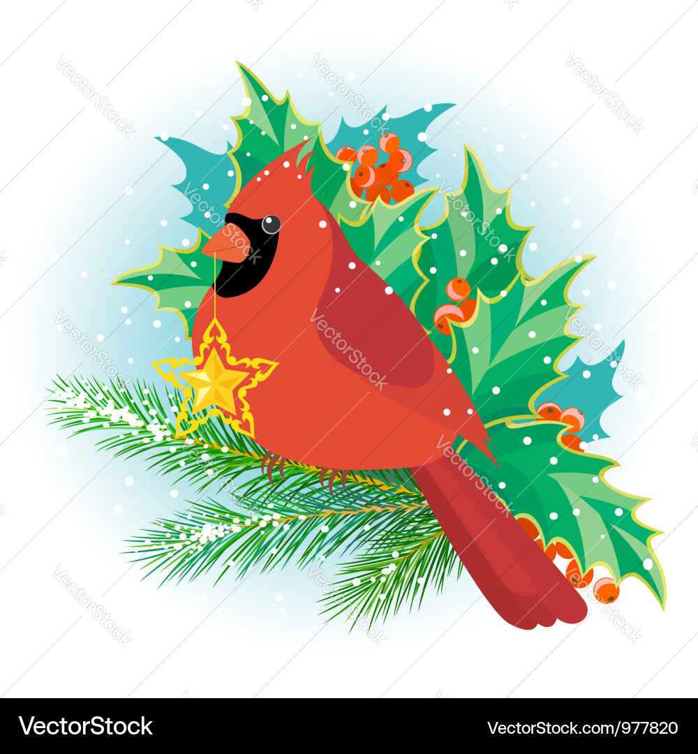 Christmas Cardinal with Star vector image