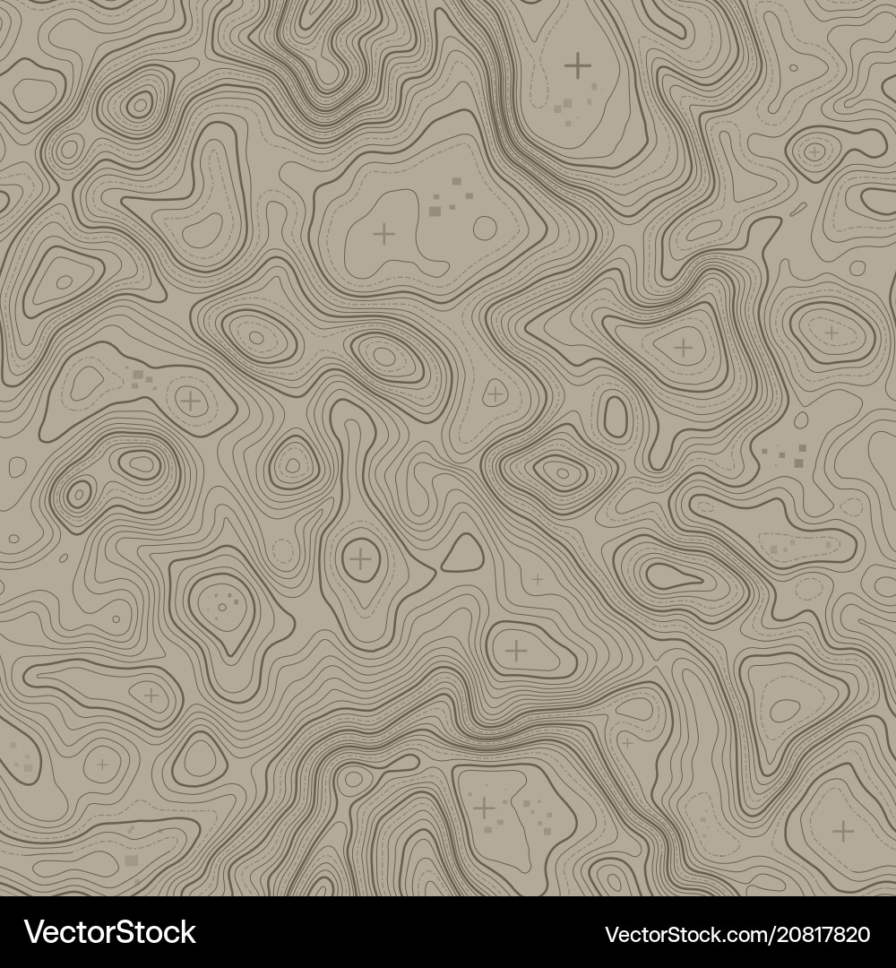 Topographic Map Pattern vector image