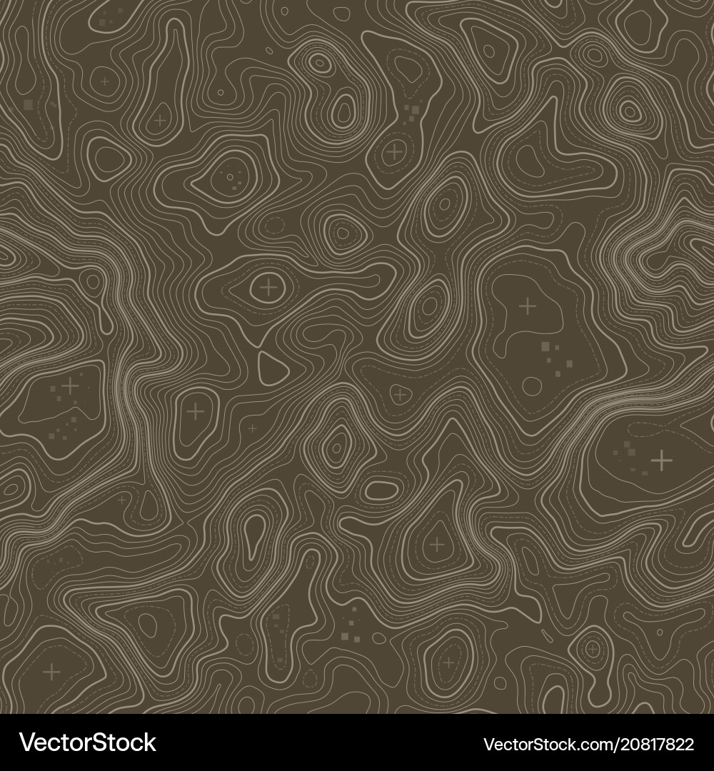 Seamless pattern topographic map background Seamless pattern topographic map background vector image