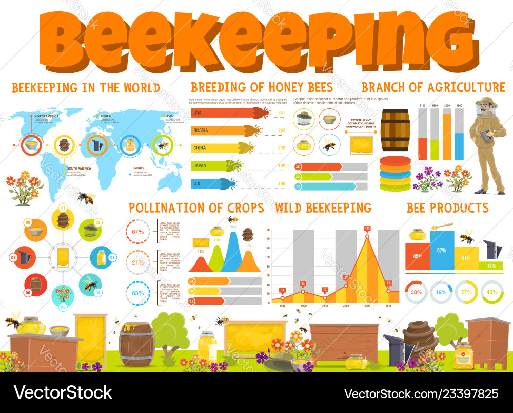 Bienenzucht und Honigbienenprodukte Infografik Bienenzucht und Honigbienenprodukte Infografik vektorbild