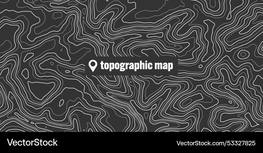 Topographic map with contour lines geographic Topographic map with contour lines geographic vector image
