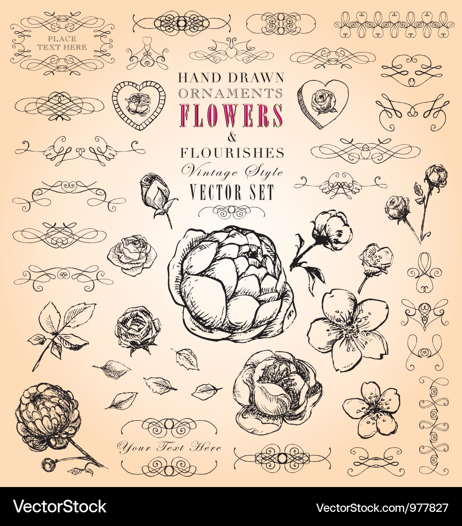 Floral Flourish Hand-Drawn Set vector image