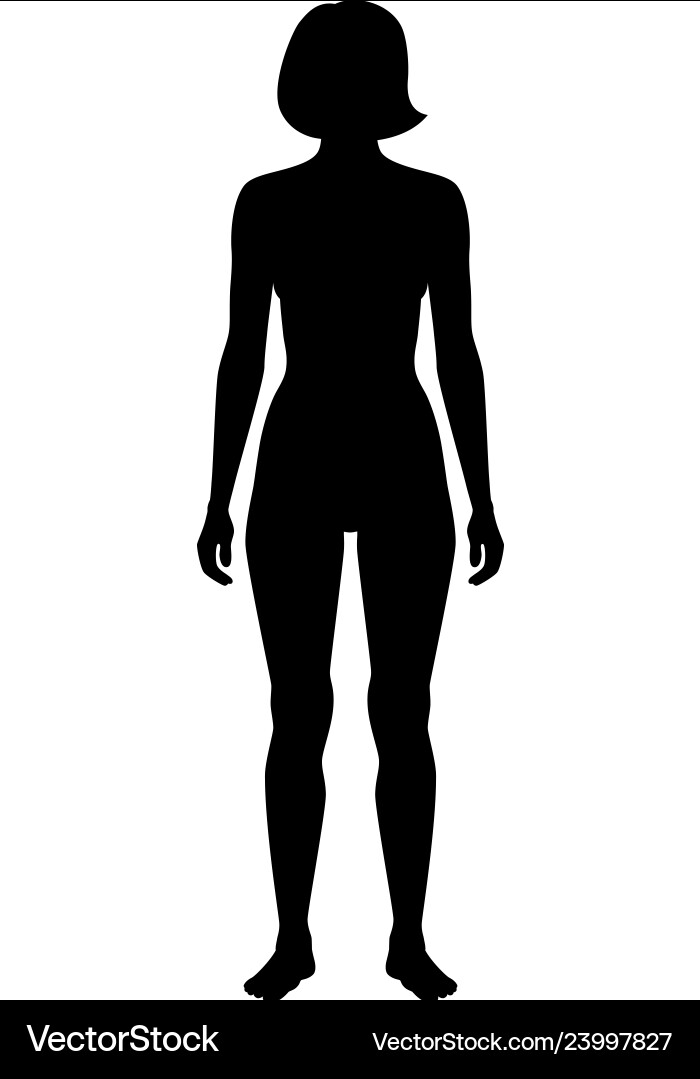 Woman Silhouette - Naked Figure vector image