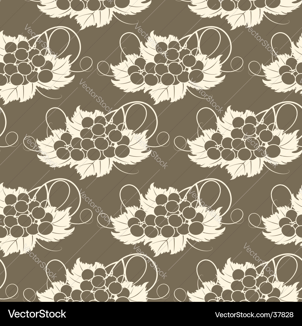Elegant Grapevine Pattern Vector Image