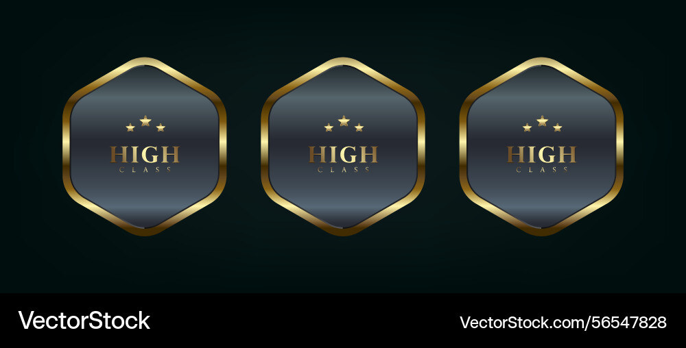 Three polygon button used in ui ux Three polygon button used in ui ux vector image