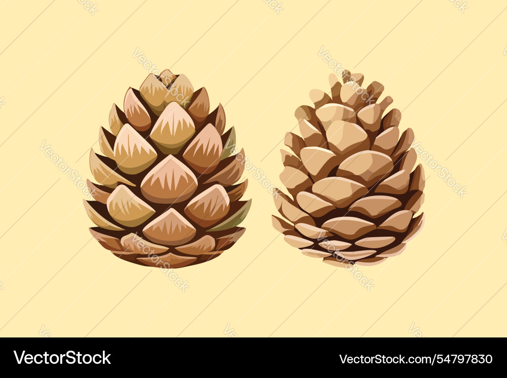 Set of pine cone in different style Set of pine cone in different style Vector Image