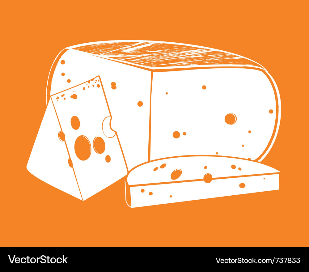 Assorted Cheese Selection Vector Image