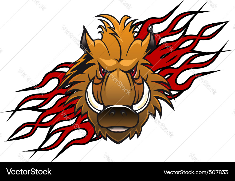 Cartoon Wild Boar Head vector image