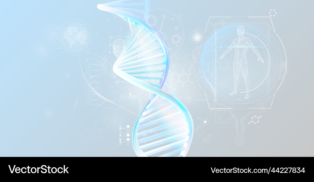 Dna Doppelhelix und menschliche Forschung Infografik Dna Doppelhelix und menschliche Forschung Infografik vektorbild