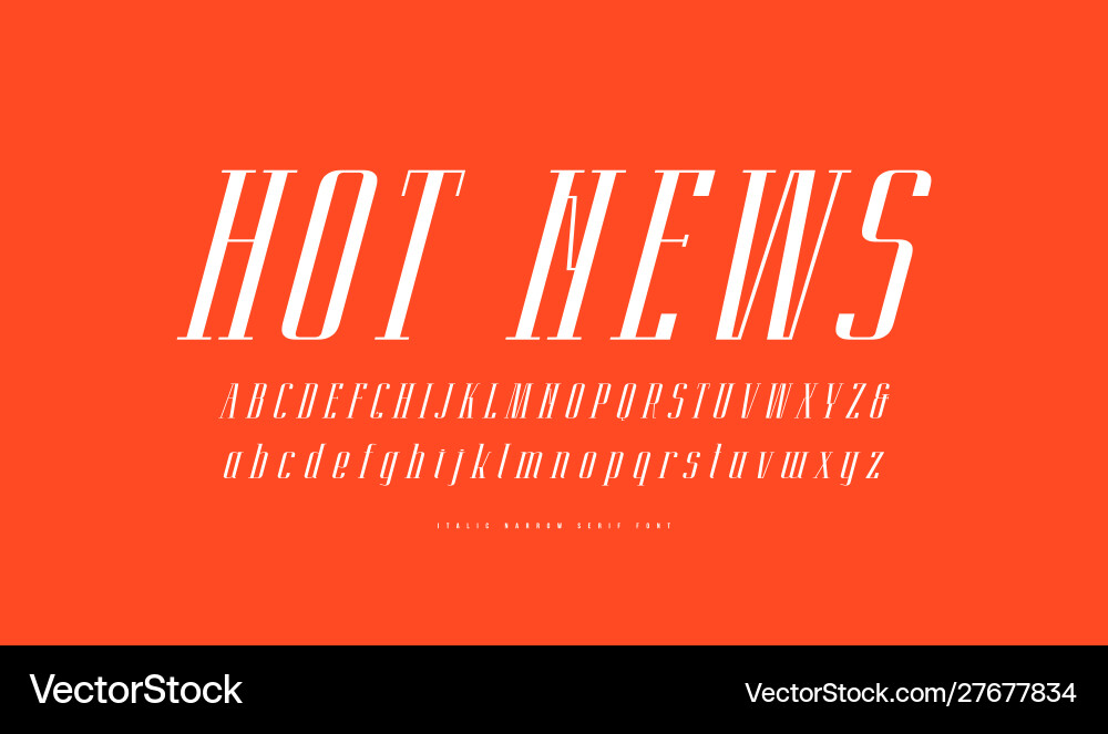 Elegant italic narrow serif font vector image