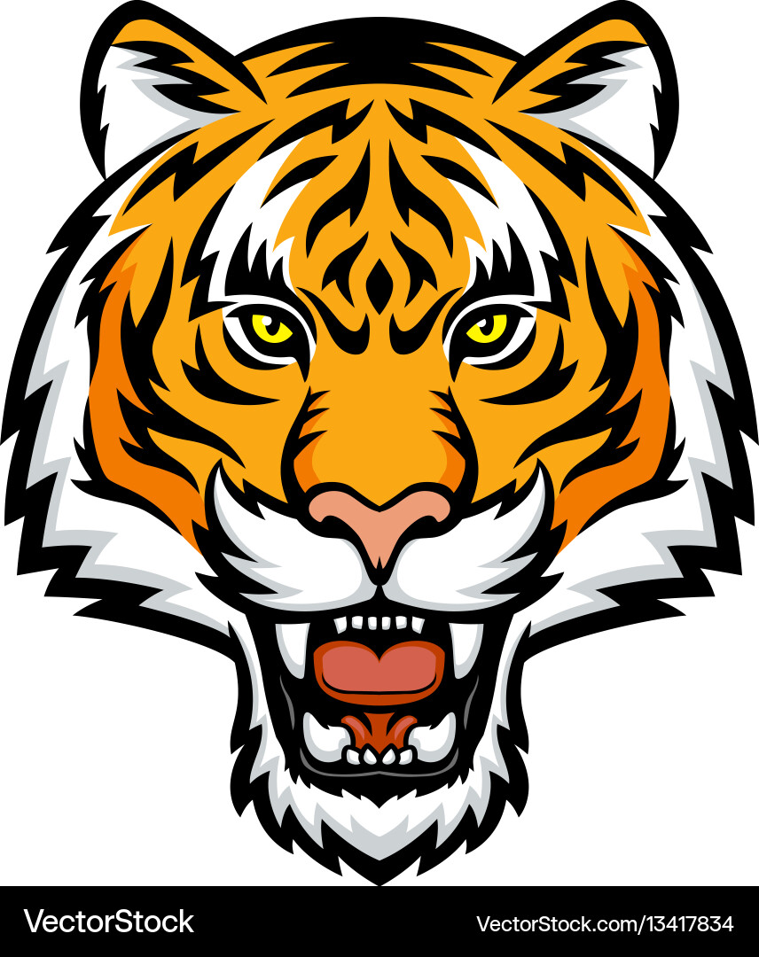 Powerful Tiger Head vector image