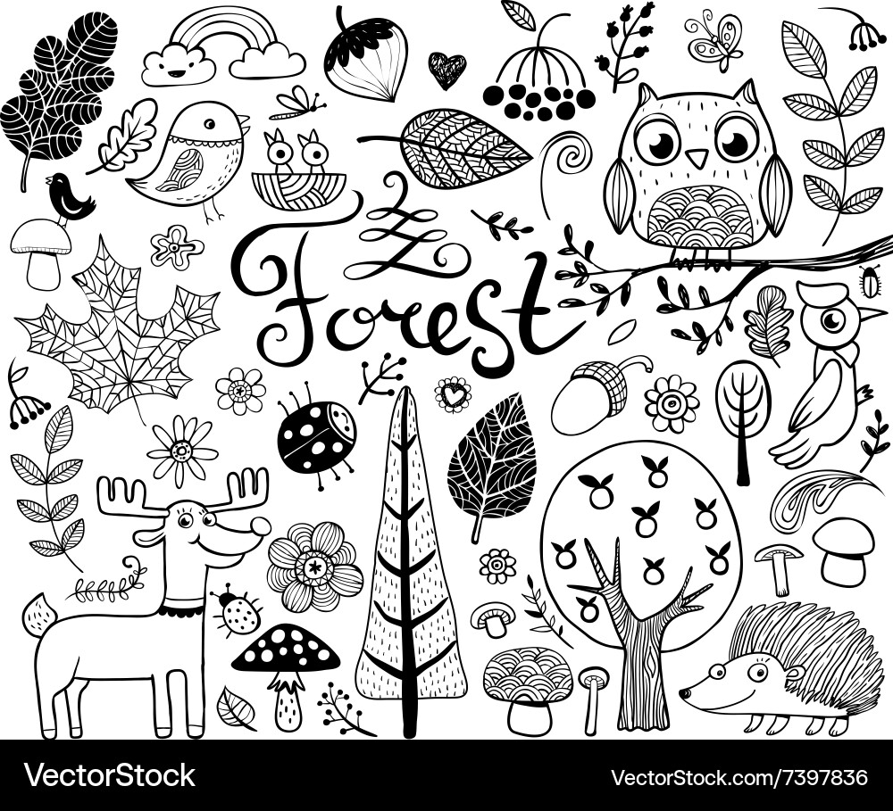 Forest design elements in doodle style Vector Image