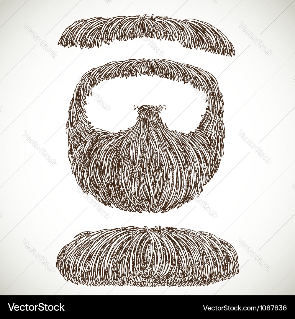 Retro Mustache and Beard Vector Image