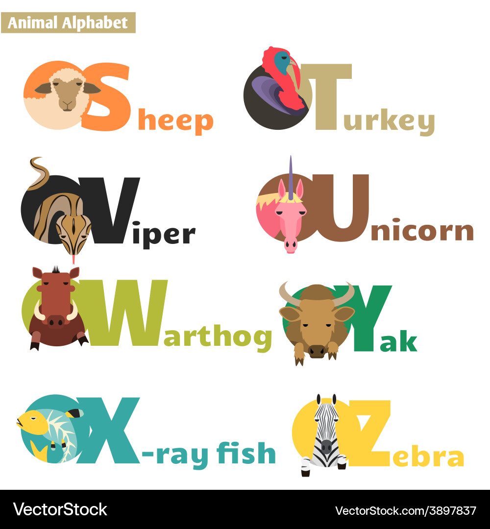 Animal Letter Set vector image