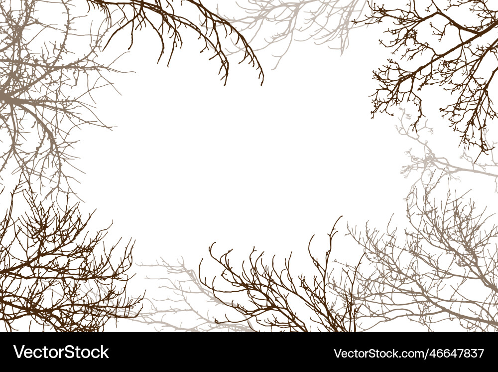 Bare Tree Silhouette Background Vector Image