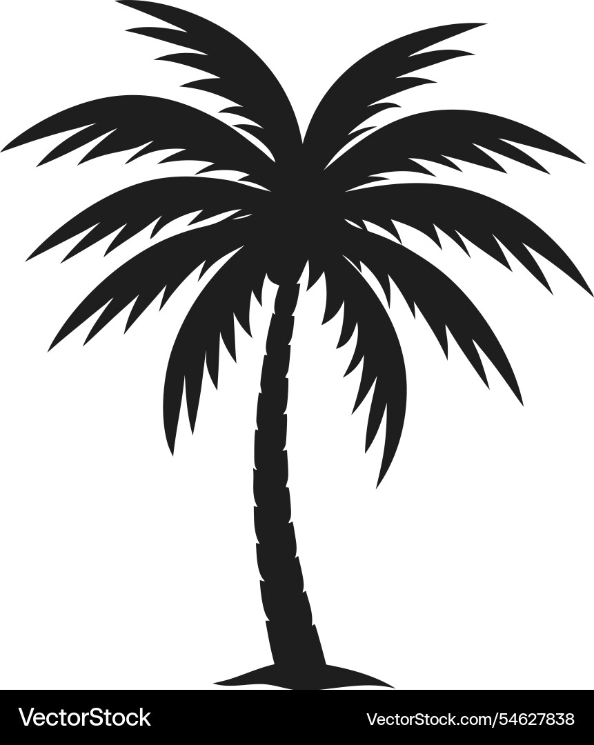 Stilvolle Palmensilhouette tropische schwarz Stilvolle Palmensilhouette tropische schwarz vektorbild