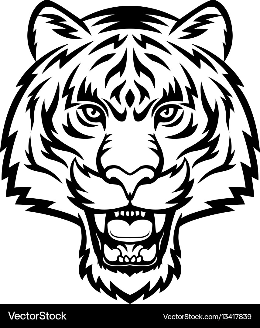 Tiger head logo Tiger head logo vector image