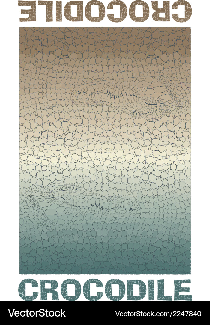 Crocodile skin texture Royalty Free Vector Image