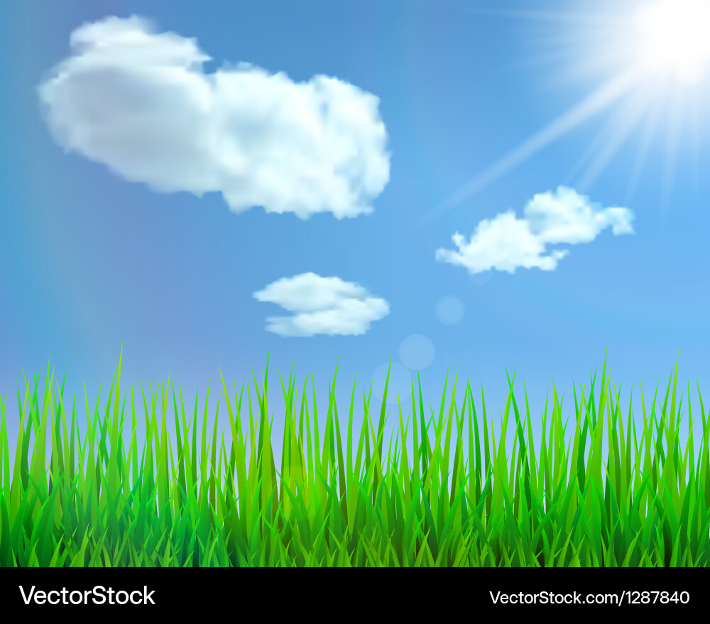Nature background Royalty Free Vector Image - VectorStock
